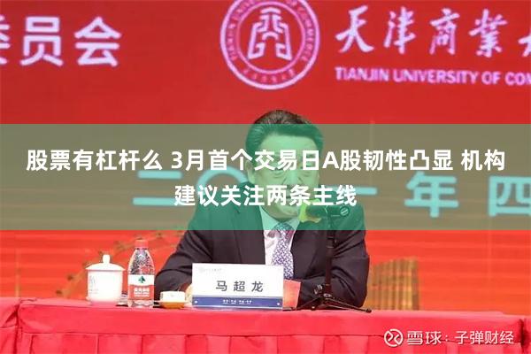 股票有杠杆么 3月首个交易日A股韧性凸显 机构建议关注两条主线
