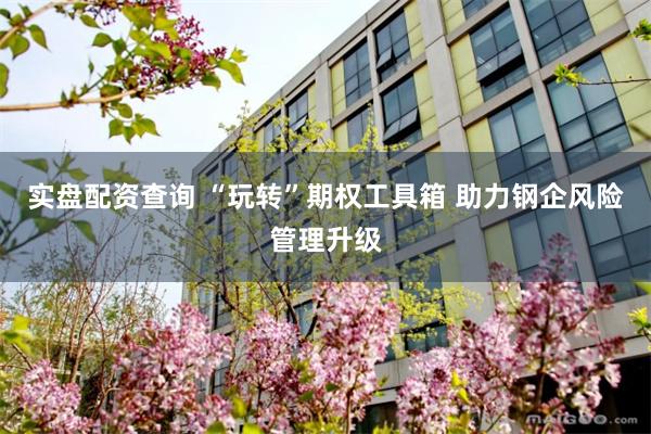 实盘配资查询 “玩转”期权工具箱 助力钢企风险管理升级