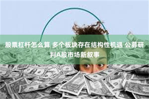 股票杠杆怎么算 多个板块存在结构性机遇 公募研判A股市场新叙事