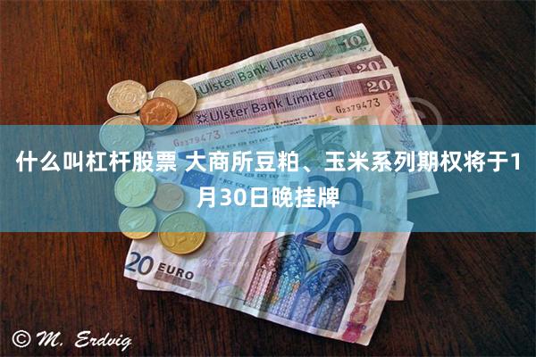什么叫杠杆股票 大商所豆粕、玉米系列期权将于1月30日晚挂牌