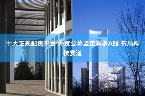 十大正规配资平台 外资公募坚定看多A股 布局科技赛道