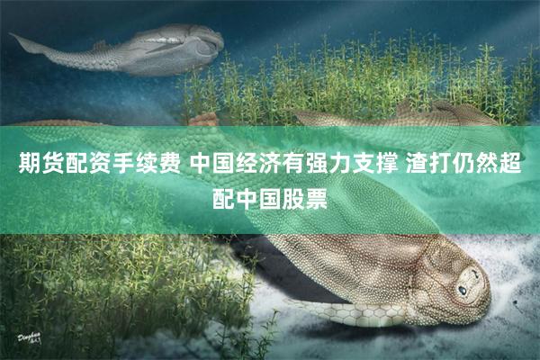 期货配资手续费 中国经济有强力支撑 渣打仍然超配中国股票