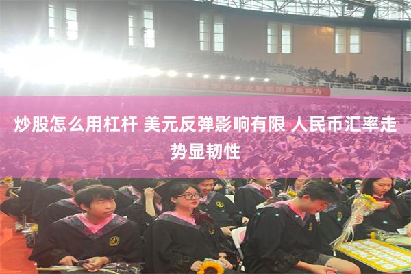 炒股怎么用杠杆 美元反弹影响有限 人民币汇率走势显韧性