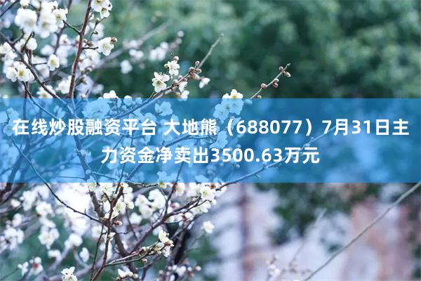在线炒股融资平台 大地熊（688077）7月31日主力资金净卖出3500.63万元