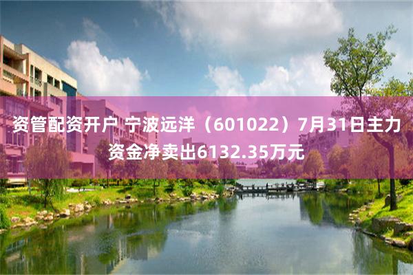 资管配资开户 宁波远洋（601022）7月31日主力资金净卖出6132.35万元