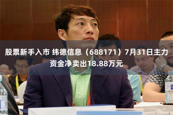 股票新手入市 纬德信息（688171）7月31日主力资金净卖出18.88万元