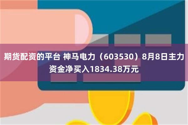 期货配资的平台 神马电力（603530）8月8日主力资金净买入1834.38万元