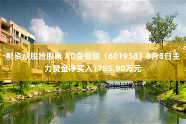 配资炒股给股票 XD金钼股（601958）8月8日主力资金净买入1785.90万元