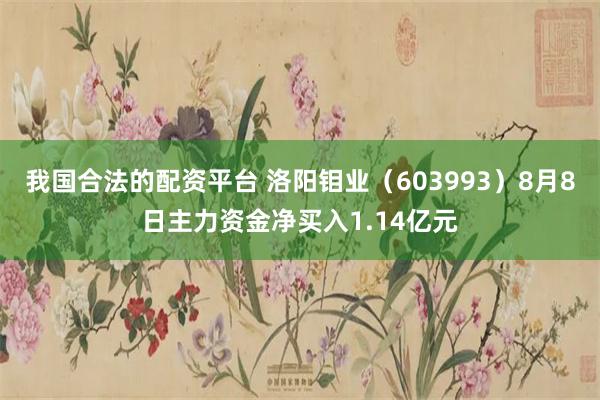 我国合法的配资平台 洛阳钼业（603993）8月8日主力资金净买入1.14亿元