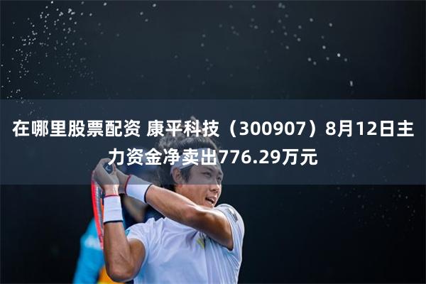 在哪里股票配资 康平科技（300907）8月12日主力资金净卖出776.29万元
