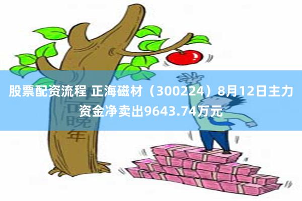 股票配资流程 正海磁材（300224）8月12日主力资金净卖出9643.74万元