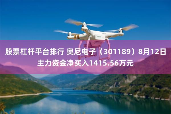 股票杠杆平台排行 奥尼电子（301189）8月12日主力资金净买入1415.56万元