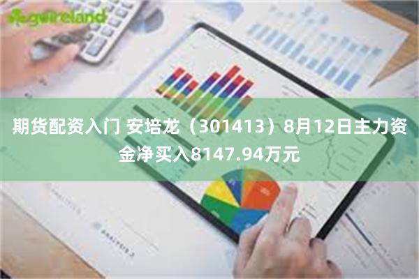 期货配资入门 安培龙（301413）8月12日主力资金净买入8147.94万元