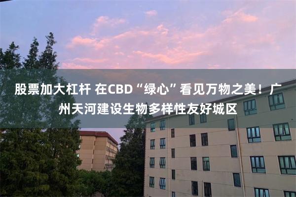 股票加大杠杆 在CBD“绿心”看见万物之美！广州天河建设生物多样性友好城区