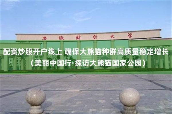 配资炒股开户线上 确保大熊猫种群高质量稳定增长（美丽中国行·探访大熊猫国家公园）