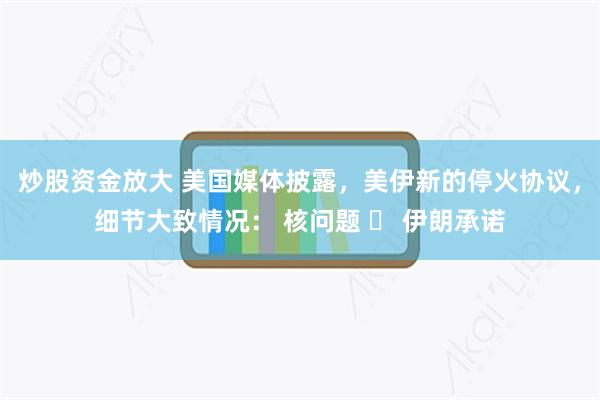 炒股资金放大 美国媒体披露，美伊新的停火协议，细节大致情况： 核问题 ✅ 伊朗承诺