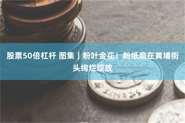 股票50倍杠杆 图集｜粉叶金花！粉纸扇在黄埔街头绚烂绽放