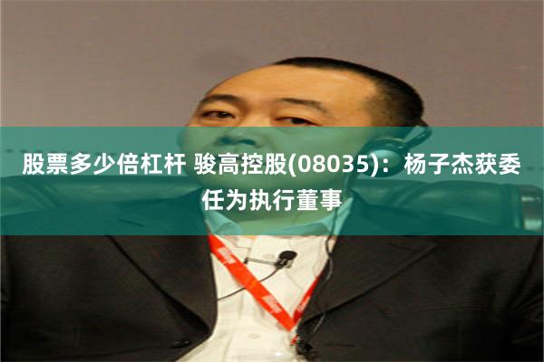 股票多少倍杠杆 骏高控股(08035)：杨子杰获委任为执行董事